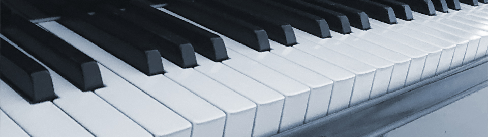 Frauke Pietsch © 2025